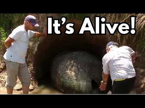 Ancient Monsters They