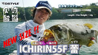 花冠】 ツイツイ ラディアンテイルFD セット 株式会社DSTYLE