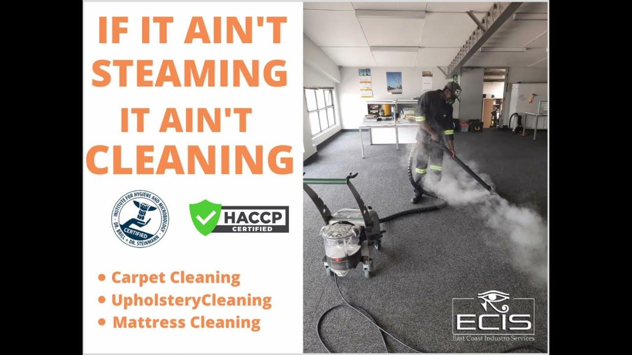 The BEST way to Remove DIRT & PATHOGENS from carpets without soaking