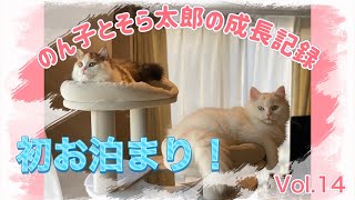 初めてのお泊まり by のん子とそら太郎の成長記録 157 views 6 months ago 5 minutes, 32 seconds