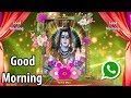 Shiv God Good Morning WhatsApp Status Video | Hindu God Video - TicTic Mon