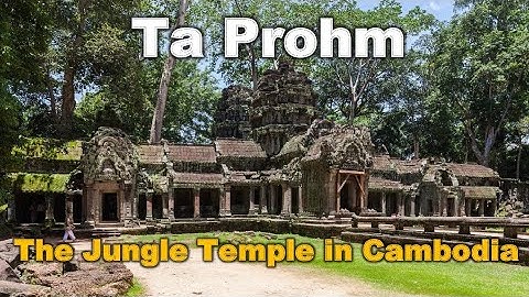 Ta Prohm The Jungle Temple in Cambodia