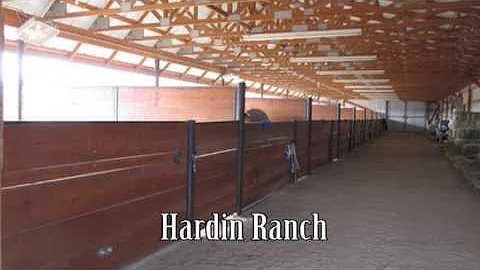 Hardin Performance Horses - Toni Hardin