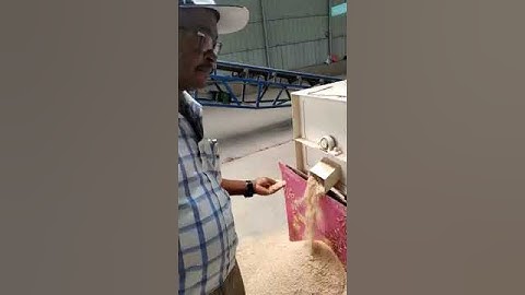 The wheat bran produced by our wheat process line