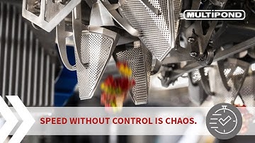 MULTIPOND DDSEQ Timing Hopper: 2×200 portions/min up to 200g