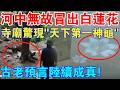河中無故冒出白蓮花！寺廟驚現“天下第一神龜”！網友拍下古老預言成真真實視頻，火遍全網！！