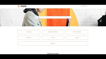 GooseVPN: Eenvoudige handleiding - Taal wijzigen in de FAQ