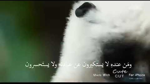 سورة الانبياء من 19 الى 22 (الشيخ سعد الغامدي)