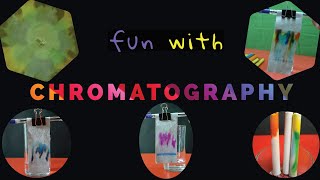 Paper Chromatography By Vinod Avnesh