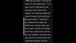 Isaiah 41 (KJV)