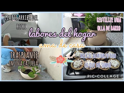 🏡Haciendo de todo