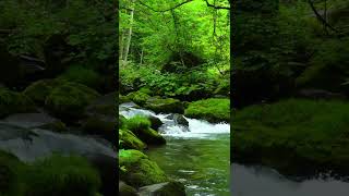 Brazil Jungle Jharna wallpaper 15 screenshot 1