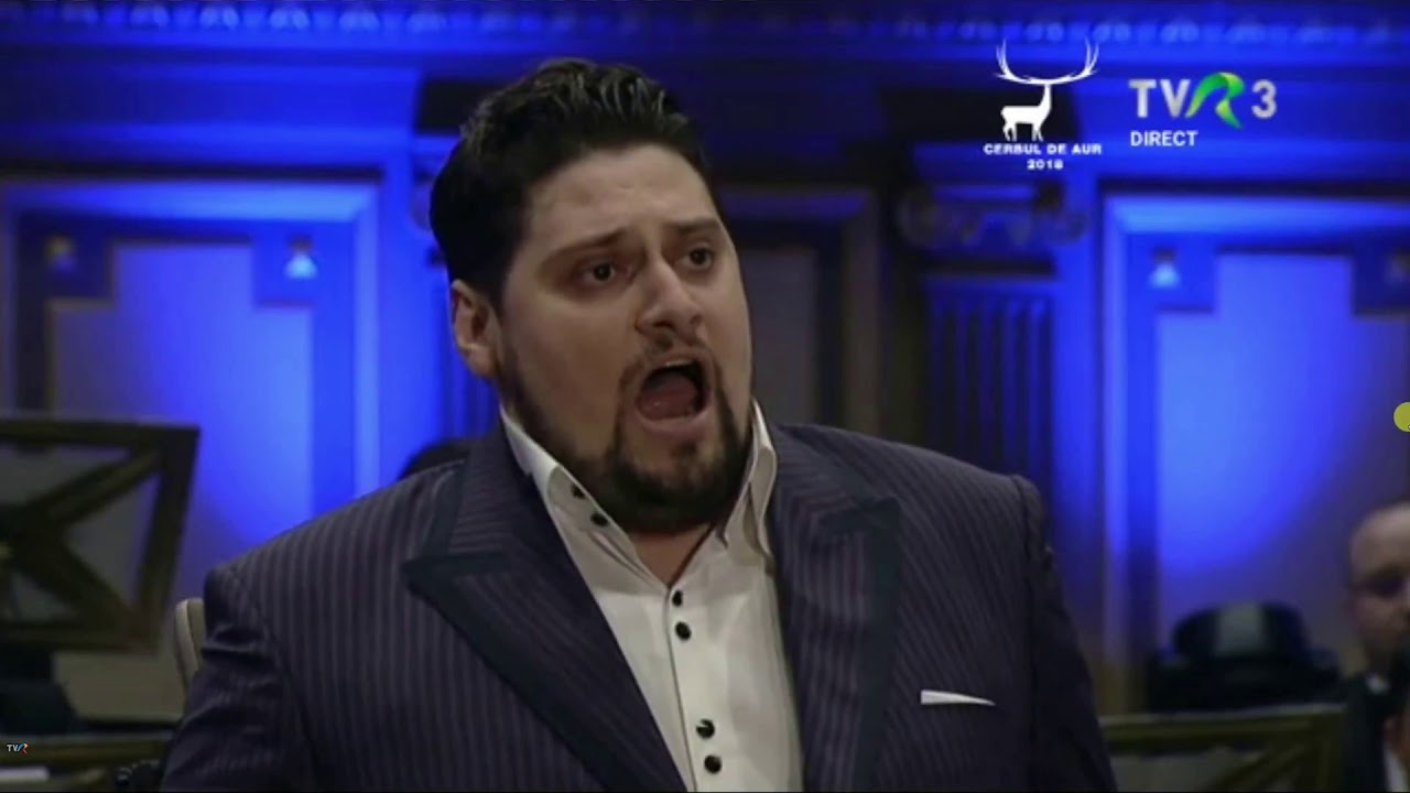 Alin Stoica - Nessun dorma (Gala Premiilor M.L.N.R.)