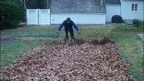 How to Compost in an Apartment