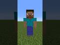 正しい順番で並べろ13【マイクラ】 #minecraft #animation #マイクラアニメ