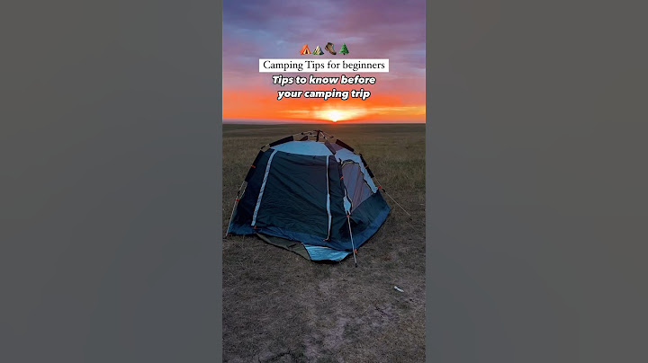 Favorite Camping Tips for Beginners!⛺️🌲