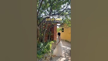 Làng Lô Lô Chải - Hà Giang #hagiang #hagiangloop #hàgiang #dulichvietnam #dulich #traveling #fypシ