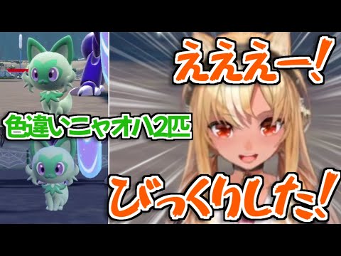 不知火フレア - 【ポケモンSV】一枠で色違いニャオハが2匹も手に入れた強運ハーフエルフ不知火フレア【ホロライブ切り抜き】