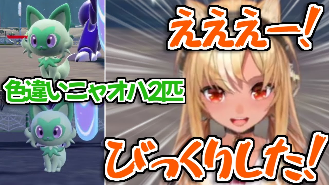 【ポケモンSV】一枠で色違いニャオハが2匹も手に入れた強運ハーフエルフ不知火フレア【ホロライブ切り抜き】