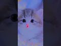 Awww... they are so cute!!
