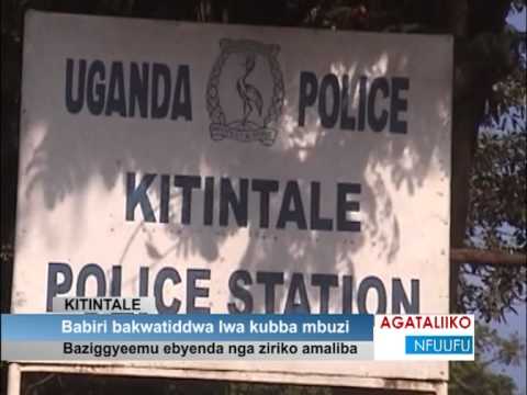 Abantu Abatannamanyika Babbye Ebisolo Nebabibaaga