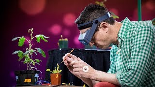 Electrical experiments with plants that count and communicate | Greg Gage