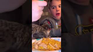 Tiny Monkey Enjoys a Big Meal with Kids
BVIRAL: New Clips Every Day!
Subscribe on YouTube: https://www.youtube.com/bviral
Follow us on Instagram: https://instagram.com/bviral
📹 Credit: @konathemarmoset
If you would like to license this clip please contact: licensing@bviral.com
ABOUT US:
BVIRAL is the global leader in viral entertainment. Our exclusively licensed and original videos regularly spread across the internet and are the topic of conversations around the globe
To learn more 👉 https://bviral.com Tiny Monkey Enjoys a Big Meal with Kids