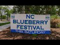 BLUEBERRY FESTIVAL 2025 BURGAW, NC VLOG