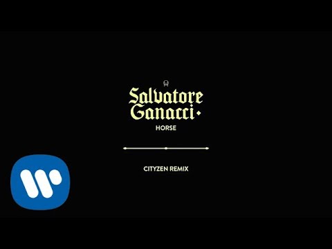 Salvatore Ganacci  - Horse (Cityzen Remix) [Official Audio]