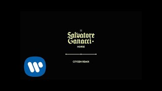 Salvatore Ganacci - Horse (Cityzen Remix) [Official Audio]