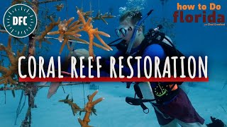 Coral Reef Restoration | How to do Florida