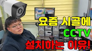 시골에 CCTV꼭 설치하셔야 합니다.(feat. 우리동네 열무는 누가 뽑아 갔을까?)