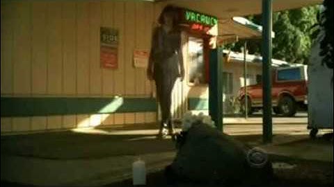 Turn, Turn, Turn - Youre Not Sorry