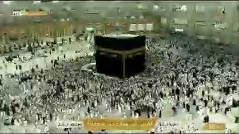 الشيخ محمود عبد الحكم سورة البقرة كاملة.