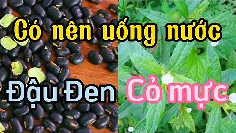 Có nên uống nước đậu đen với cỏ mực
