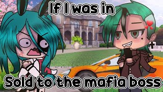 🌸 If I was in 'sold to the mafia boss'🌸 (Gacha Life)