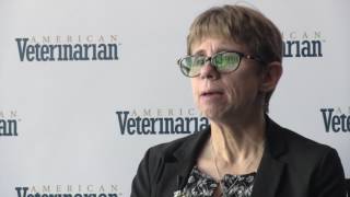 The Key to Dealing with Chronic Obstructed Cats Dealing With Cats That Are Not Yet Obstructed