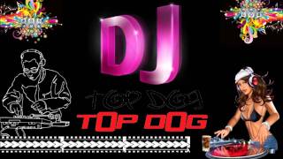 Dj tOp dOg - Move Your Body Remix chords