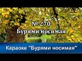 № 270 Бурями носимая | Караоке с голосом | Христианские песни | Гимны надежды