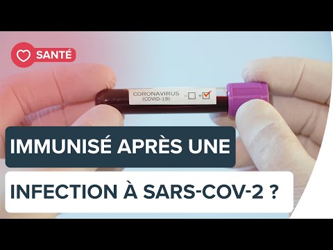 Sommes-nous protégés après une infection à SARS-CoV-2 ? | Futura Sommes-nous protégés après une infection à SARS-CoV-2 ? | Futura