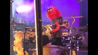 #TheMuppets and #RaeMorris aka Animal Performed by #EricJacobson at #BBC #TheOneShow