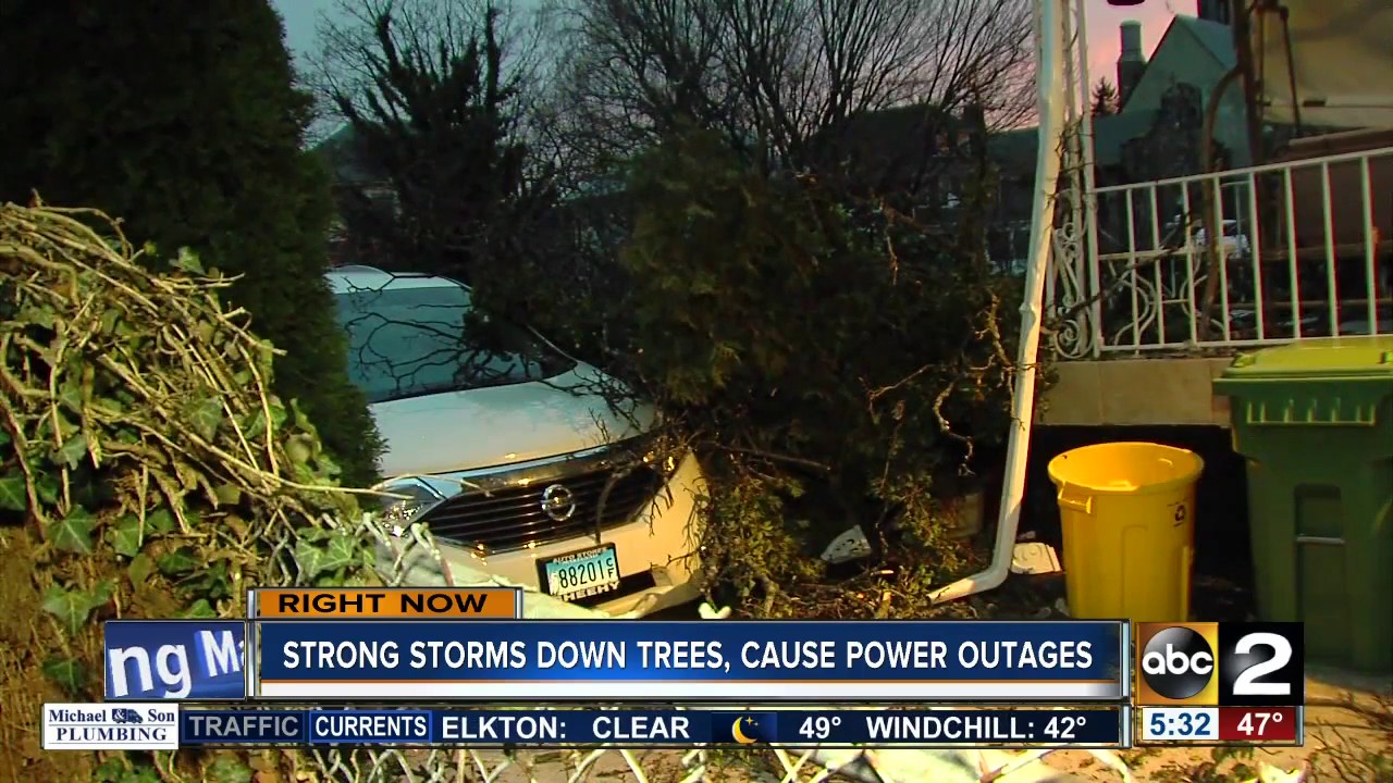 Strong storms cause downed trees, power outages across Maryland YouTube