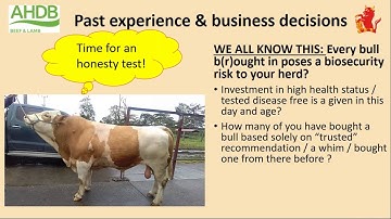 Reducing suckler calf mortality – learnings from across the globe Webinar