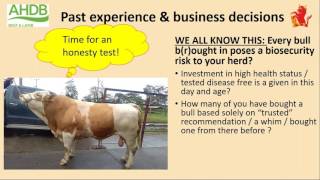 Reducing suckler calf mortality – learnings from across the globe Webinar