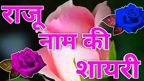 Raju name ki shayari🌹 Raju name status🌹 Raju name love status🌹 Raju name love shayari🌹
