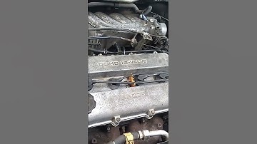 Mazda etude in for a std Dicktator Management System Fit Supply Tuning