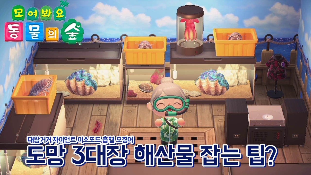 모동숲]A연타하게 만드는 해산물 3대장 잡는 팁? 대왕거거,자이언트 이소포드,흡혈오징어 잡기! 모여봐요 동물의 숲 - Youtube