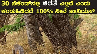 ಚಿರತೆ ಎಲ್ಲಿದೆ ಎಂದು 30 ಸೆಕೆಂಡ್ ನಲ್ಲಿ ಕಂಡುಹಿಡಿದರೆ ನೀವೇ ಜೀನಿಯಸ್ | Time for brain exercise
