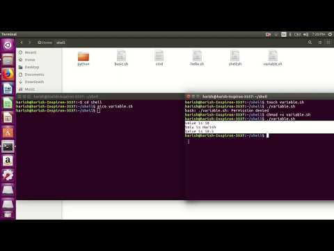 Shell Scripting- shell variables