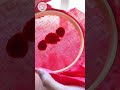 【パンチニードル】🍓 コロコロ苺 🍓　#パンチニードル#フリーステッチングニードル#handmade#satisfying